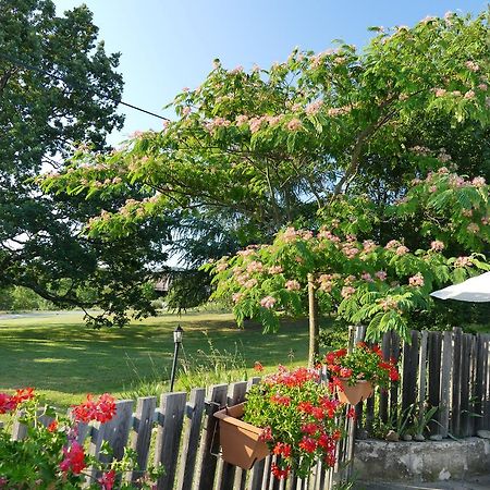 Un Gite De Charme En Haute Provence Villa Sigoyer  Buitenkant foto