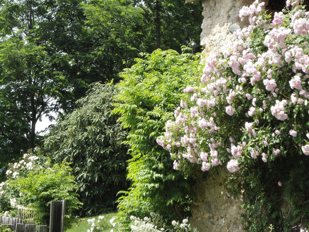 Un Gite De Charme En Haute Provence Villa Sigoyer  Kamer foto