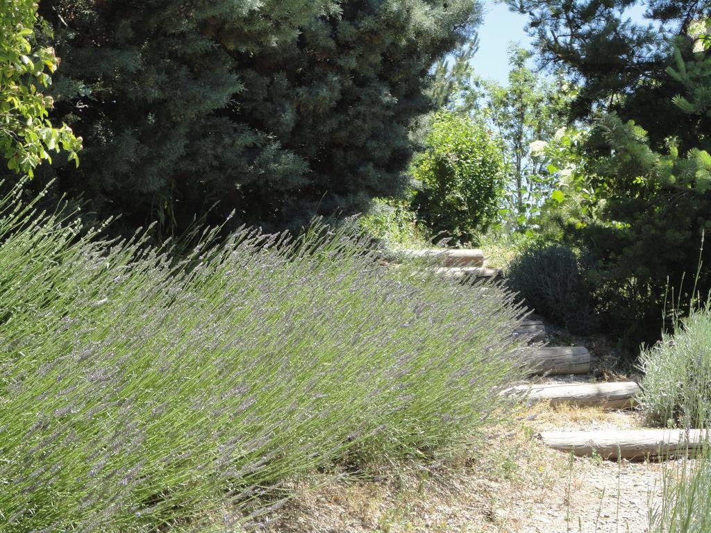 Un Gite De Charme En Haute Provence Villa Sigoyer  Kamer foto