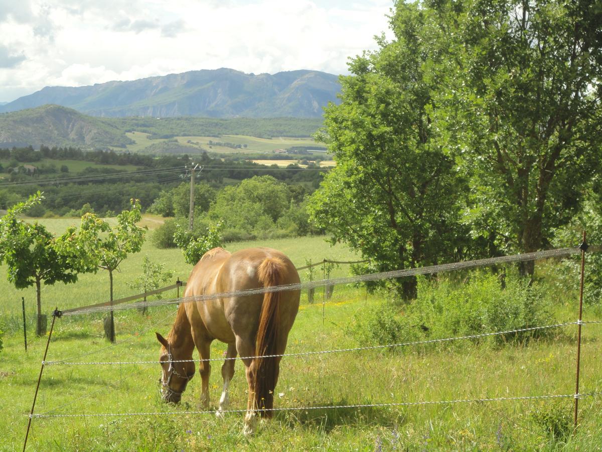 Un Gite De Charme En Haute Provence Villa Sigoyer  Buitenkant foto
