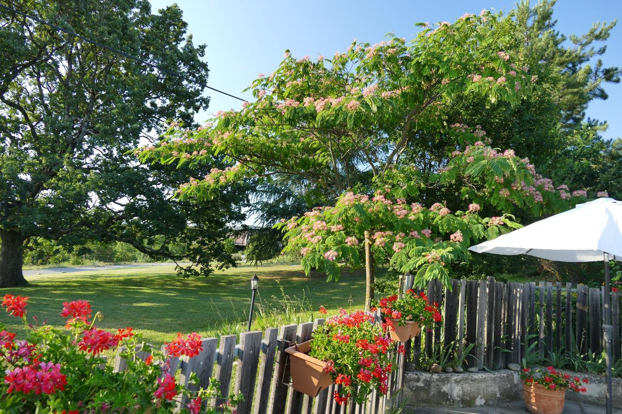 Un Gite De Charme En Haute Provence Villa Sigoyer  Buitenkant foto